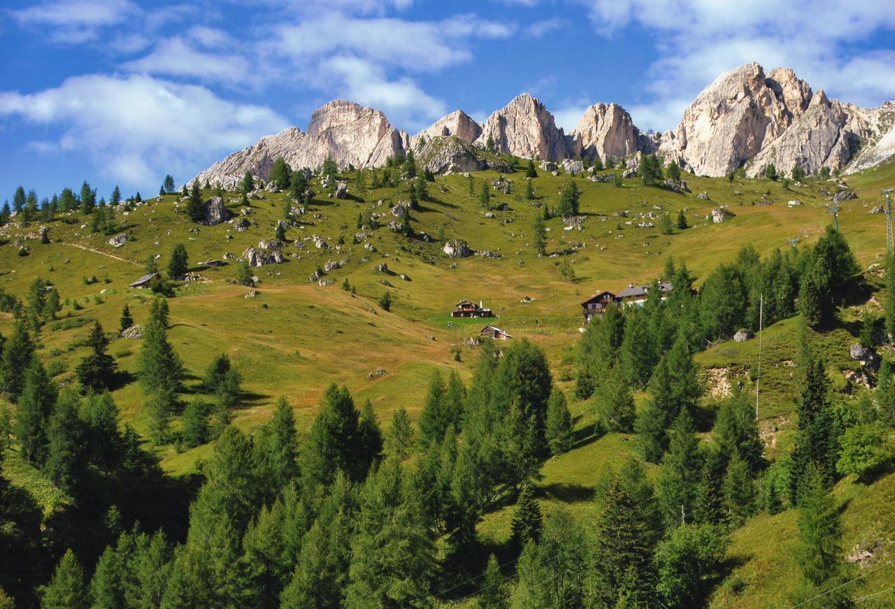 Welche sind die besten Hotels in der N\u00E4he von Museo Vittorino Cazzetta? Selva di Cadore Exterior foto